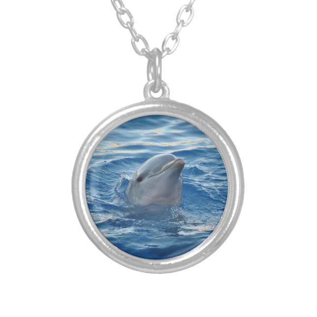Cute Dolphin Silver Plated Necklace (Front)