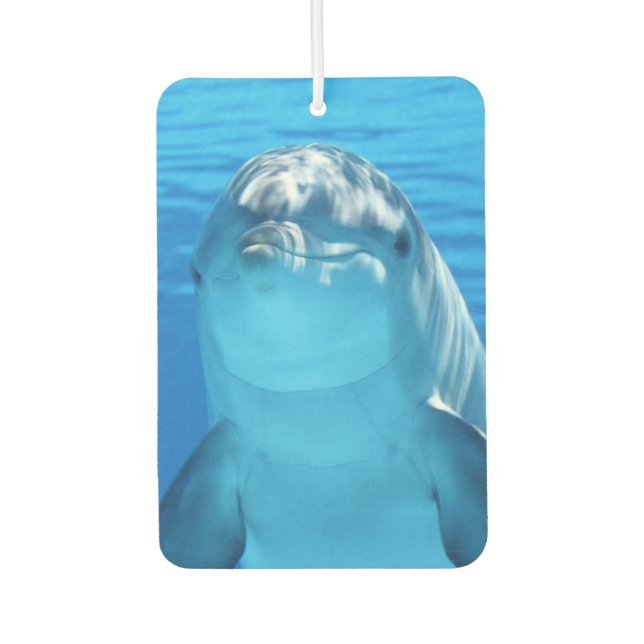 Cute Dolphin Smiling Ocean Dolphin Lover Air Freshener (Front)