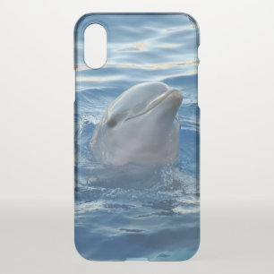 Cute Dolphin iPhone X Case
