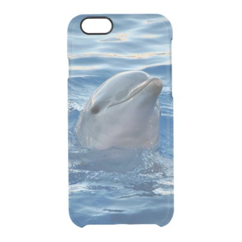 Cute Dolphin Clear iPhone 66S Case