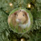 Cute Domestic Guinea Pig