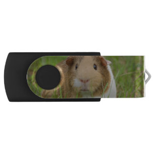 Cute Domestic Guinea Pig Flash Drive