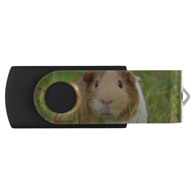 Cute Domestic Guinea Pig Flash Drive (Front)