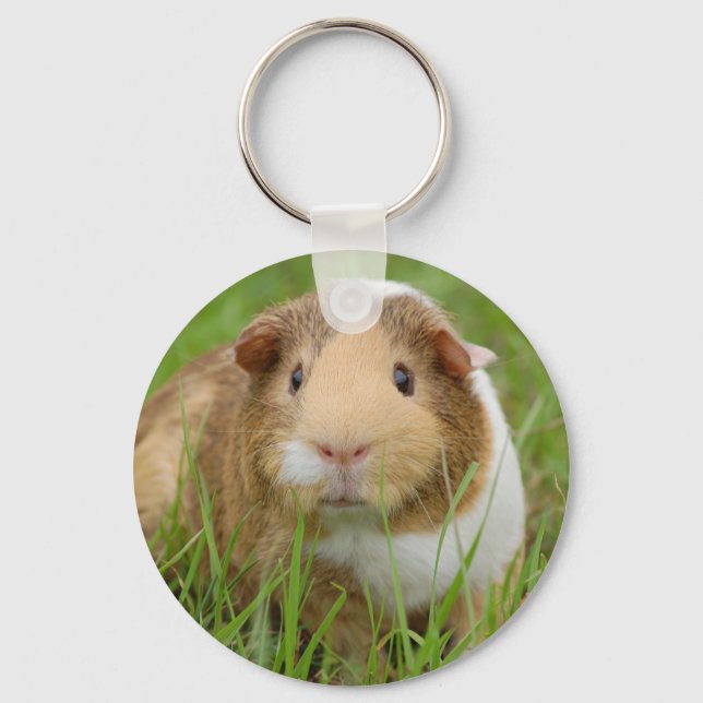 Cute Domestic Guinea Pig Keychain (Front)