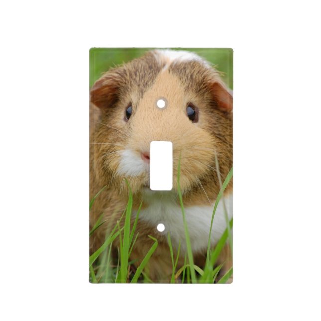 Cute Domestic Guinea Pig Light Switch Cover (Front)