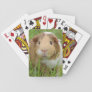 Cute Domestic Guinea Pig Playing Cards