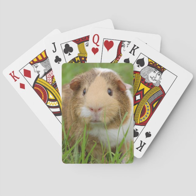 Cute Domestic Guinea Pig Poker Cards (Back)