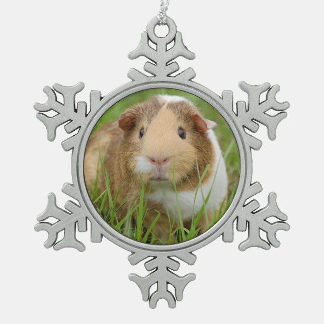 Cute Domestic Guinea Pig Snowflake Pewter Christmas Ornament (Front)