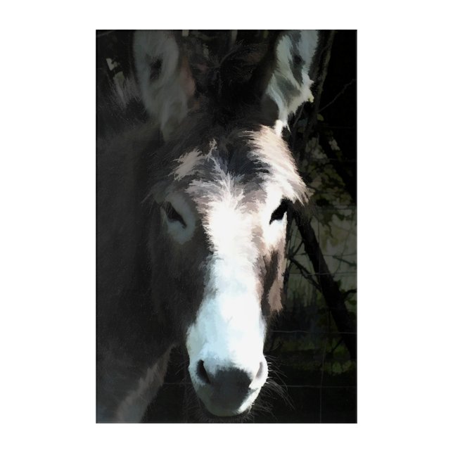CUTE DONKEY ACRYLIC PRINT (Front)