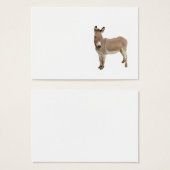Cute Donkey Burro Photograph (Front & Back)