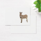 Cute Donkey Burro Photograph (Desk)