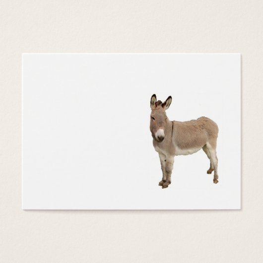 Cute Donkey Burro Photograph (Front)