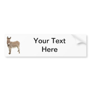 Cute Donkey Burro Photograph Bumper Sticker