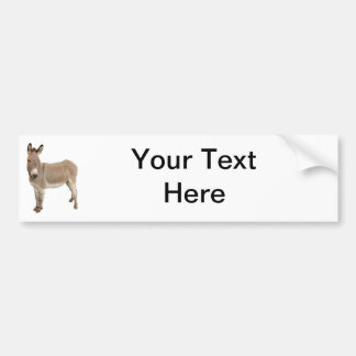 Cute Donkey Burro Photograph Bumper Sticker