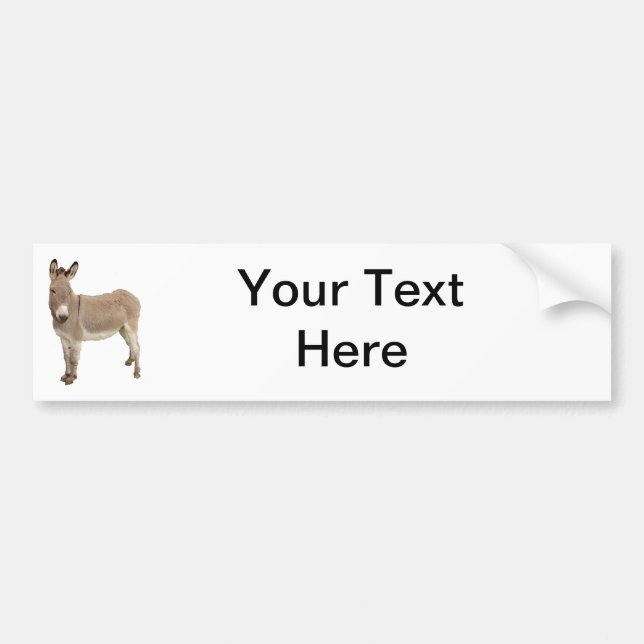 Cute Donkey Burro Photograph Bumper Sticker (Front)
