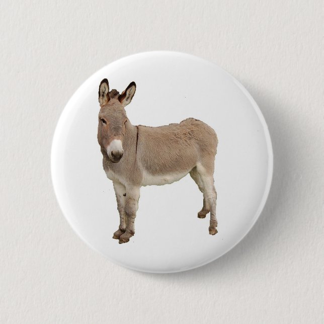 Cute Donkey Burro Photograph Button (Front)