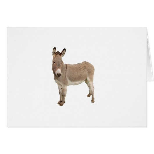 Cute Donkey Burro Photograph Cards (Front Horizontal)