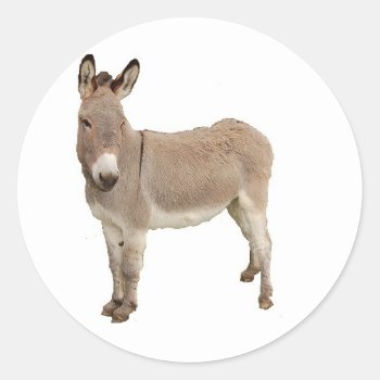 Cute Donkey Burro Photograph Classic Round Sticker by CorgisandThings at Zazzle