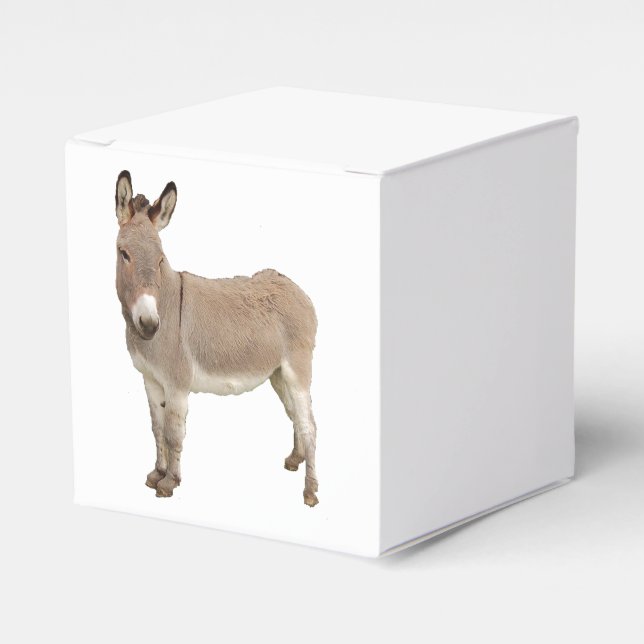 Cute Donkey Burro Photograph Favor Boxes (Front Side)