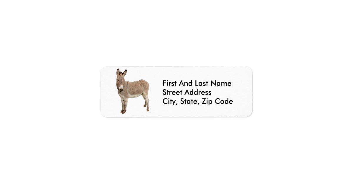 Cute Donkey Burro Photograph Label | Zazzle