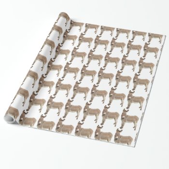 Cute Donkey Burro Photograph Wrapping Paper by CorgisandThings at Zazzle