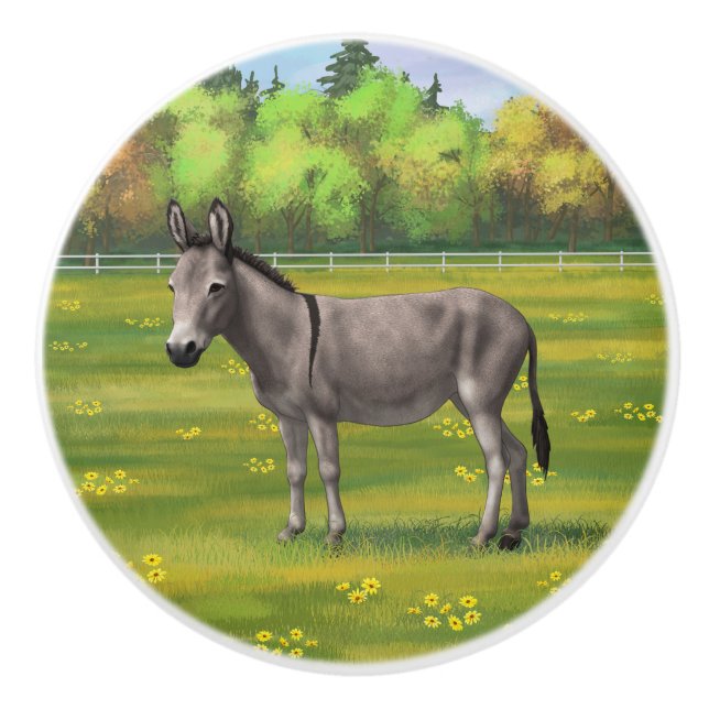 Cute Donkey Gray Burro In Pasture Ceramic Knob (Front)