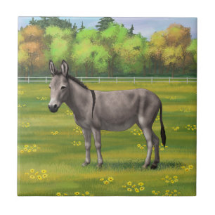 Cute Donkey Gray Burro In Pasture Ceramic Tile