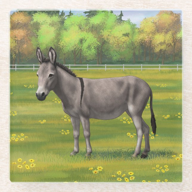 Cute Donkey Gray Burro In Pasture Glass Coaster (Front)