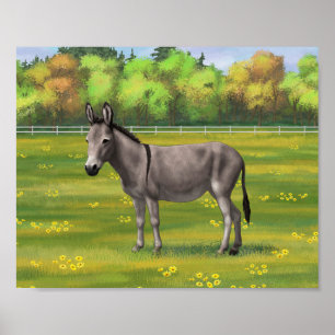 Cute Donkey Gray Burro In Pasture Poster