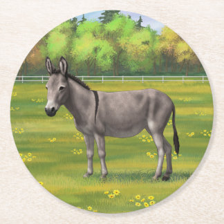 Cute Donkey Gray Burro In Pasture Round Paper Coaster