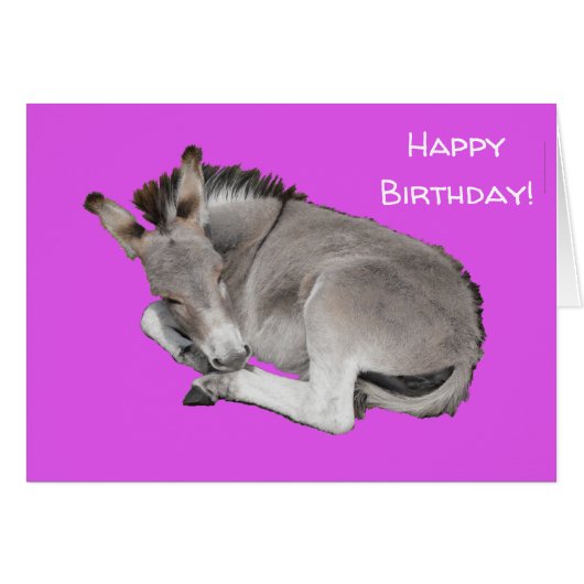 Cute Donkey on Purple Cards (Front Horizontal)