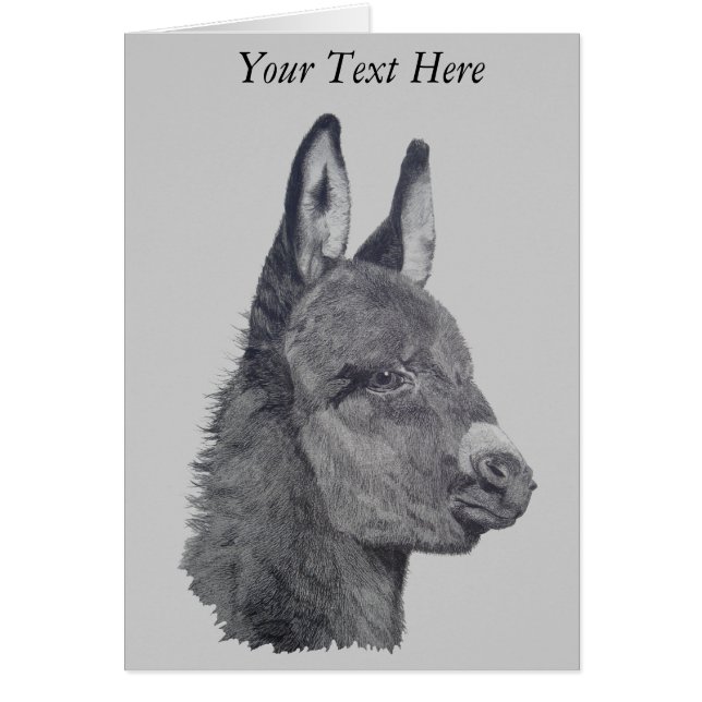 Cute donkey original life like drawing art cards (Front)