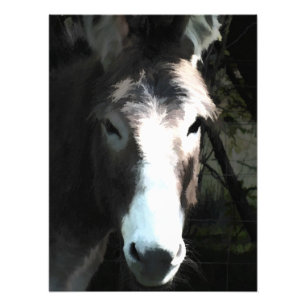 CUTE DONKEY PHOTO PRINT