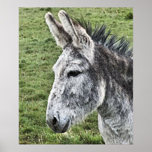 CUTE DONKEY POSTER