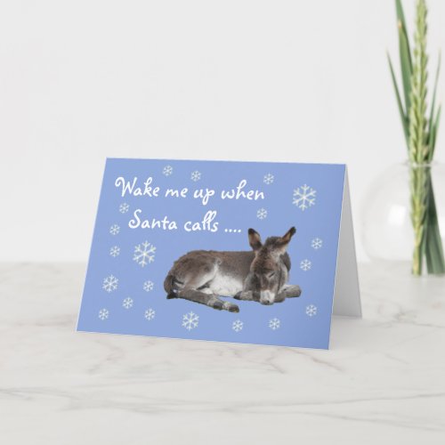 Cute Donkey Snowflakes Blue Christmas Holiday Card