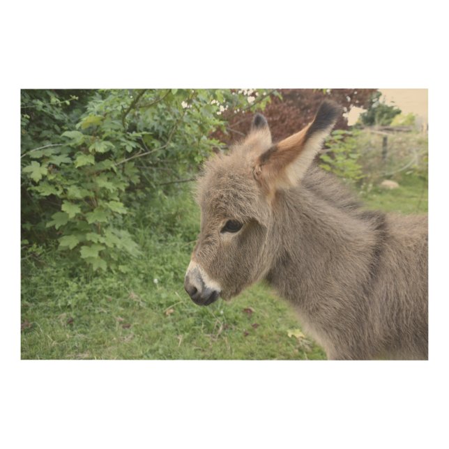 Cute Donkey Wood Wall Art (Front)