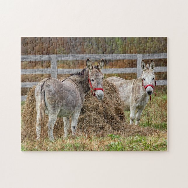 Cute Donkeys Jigsaw Puzzle (Horizontal)