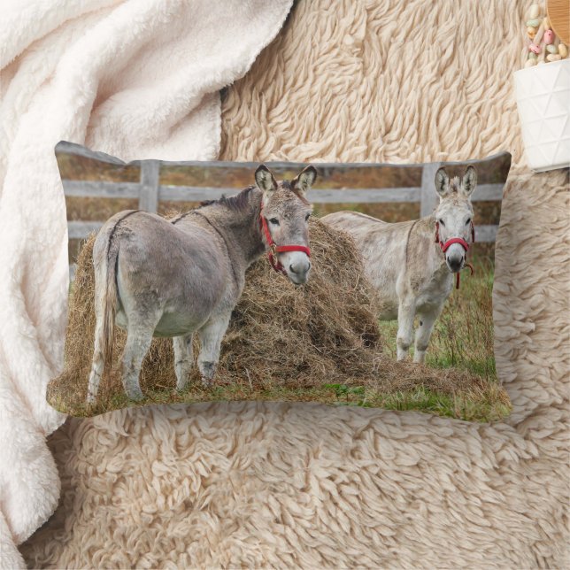 Cute Donkeys Lumbar Pillow (Blanket)