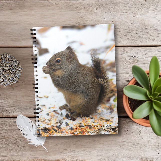 Cute Douglas Squirrel Enjoying a Winter Feast Notebook (Douglas Squirrel Enjoying a Winter Beast Journal Cover Photo)