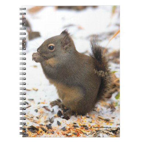 Cute Douglas Squirrel Enjoying a Winter Feast Notebook
