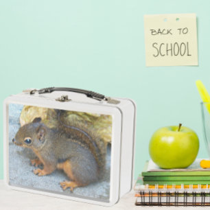 Cute Douglas Squirrel Nature Photo Metal Lunch Box