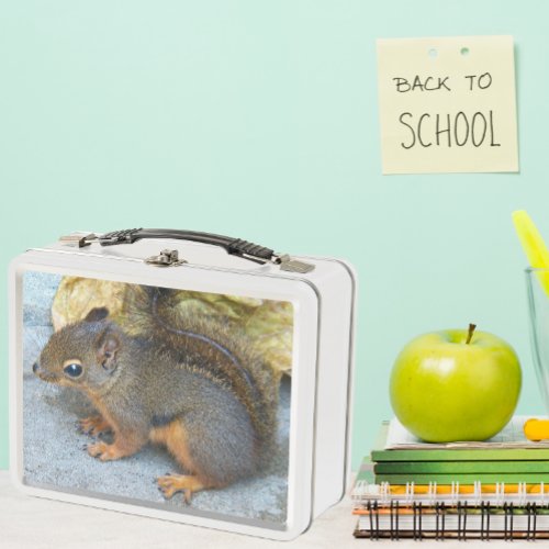 Cute Douglas Squirrel Nature Photo Metal Lunch Box