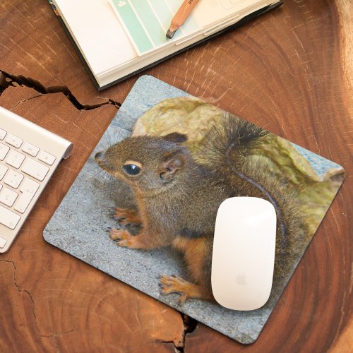Cute Douglas Squirrel Nature Photo Mouse Pad