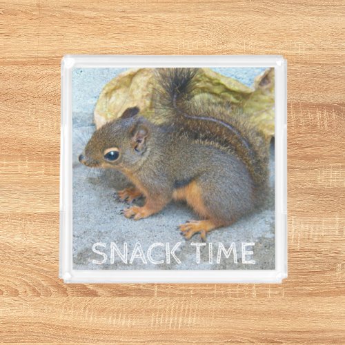 Cute Douglas Squirrel Nature Photo Snack Time Acrylic Tray