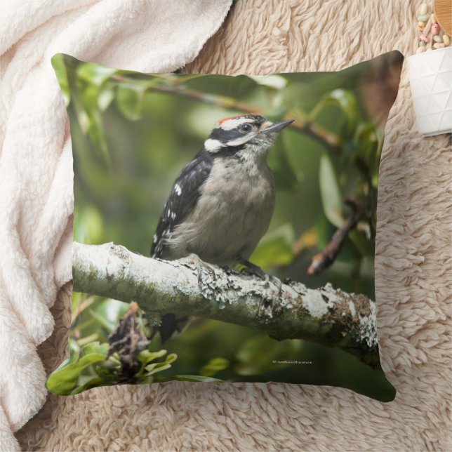 Cute Downy Woodpecker Bird in Pear Tree Throw Pillow (Blanket)