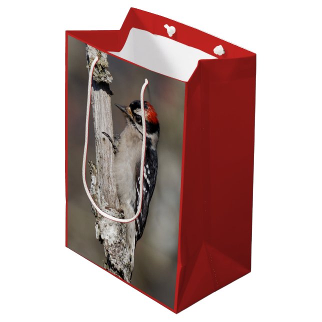 Cute Downy Woodpecker Bird on Branch Medium Gift Bag (Front Angled)