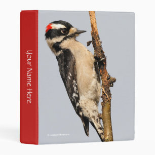 Cute Downy Woodpecker on Fruit Tree Mini Binder