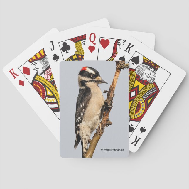 Cute Downy Woodpecker on Fruit Tree Poker Cards (Back)