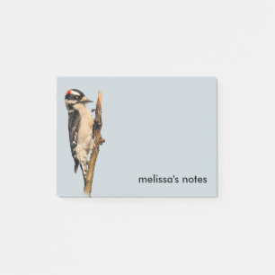 Cute Downy Woodpecker on Fruit Tree Post-it Notes