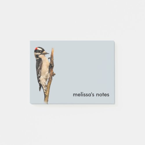 Cute Downy Woodpecker on Fruit Tree Post_it Notes